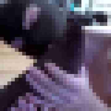picturefreak
