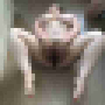 FickSchweine69