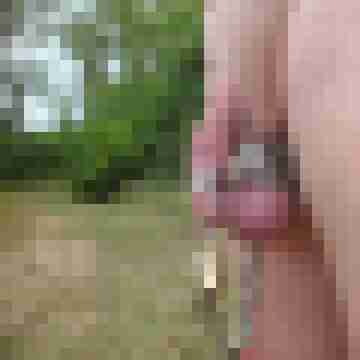 nippel81