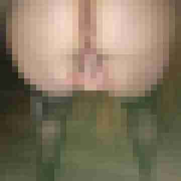 hornyxsar