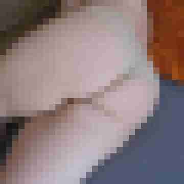 arschstute