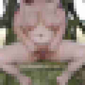 Nylongeiles_Paar