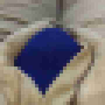 pinsel60