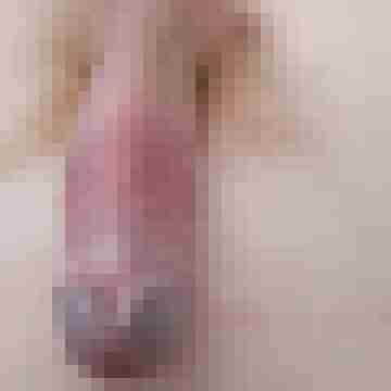 SEX69SUECHTIG