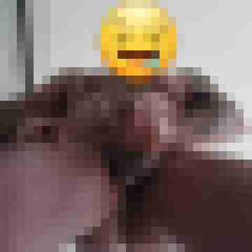 jimmbob006