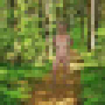 rotfuchs79