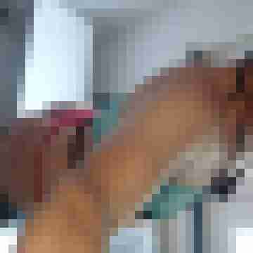 DWT_Neu_Lara