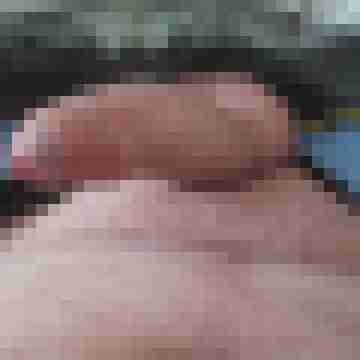 hornyxsar