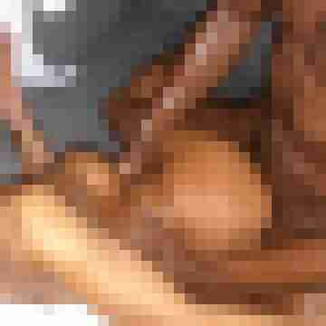 XPaar19