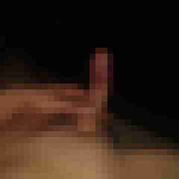 patte83
