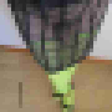 AnaStockings