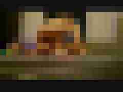 naughty_dog
