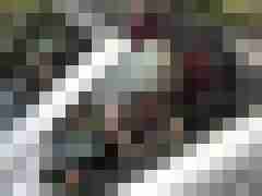 publicstute