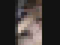 VerruecktesPaar8176