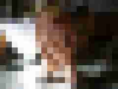 Letsy4u2c