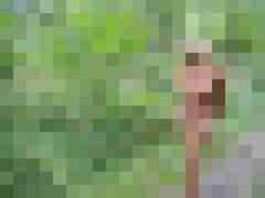 Letsy4u2c