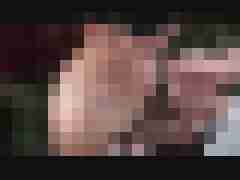MrKnut