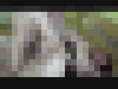 picturefreak
