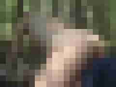 werter6