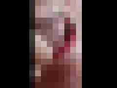 Wir8086