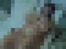 Baecker07