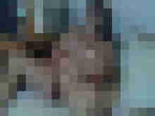 Baecker07