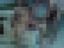 Baecker07