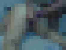Baecker07