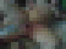 Baecker07