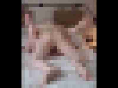 Willi007