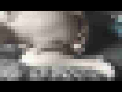 Ospaar5962