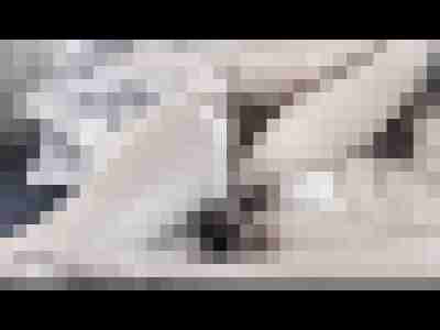 Ospaar5962
