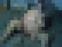 Baecker07