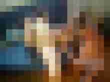 Baecker07