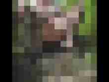 Paddel