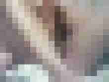 bunte8